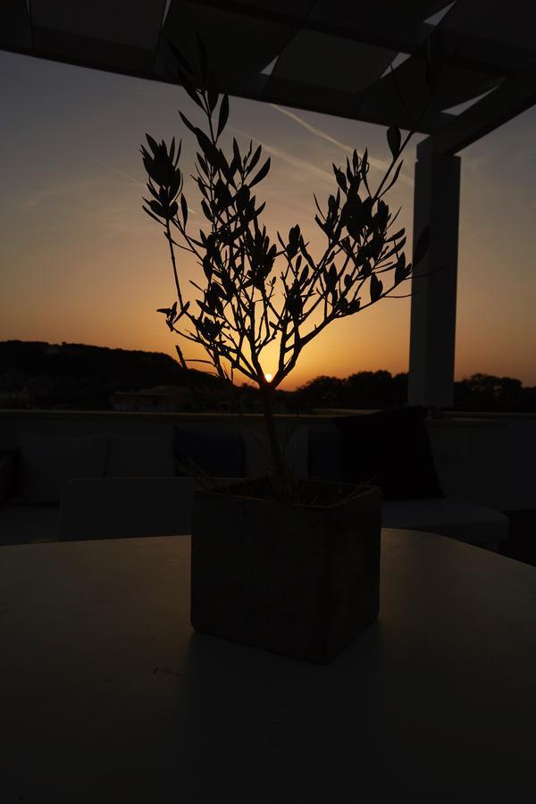 Acantha Boutique Hotel Ereikoussa 外观 照片